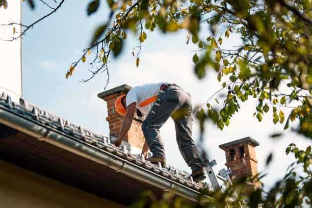 Best Storm Damage Roof Repair  in East Douglas, MA